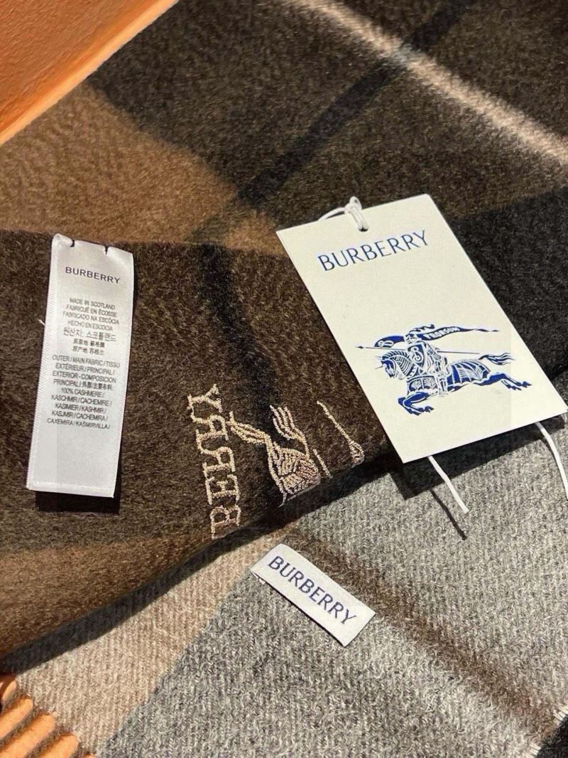 Burberry Scarf